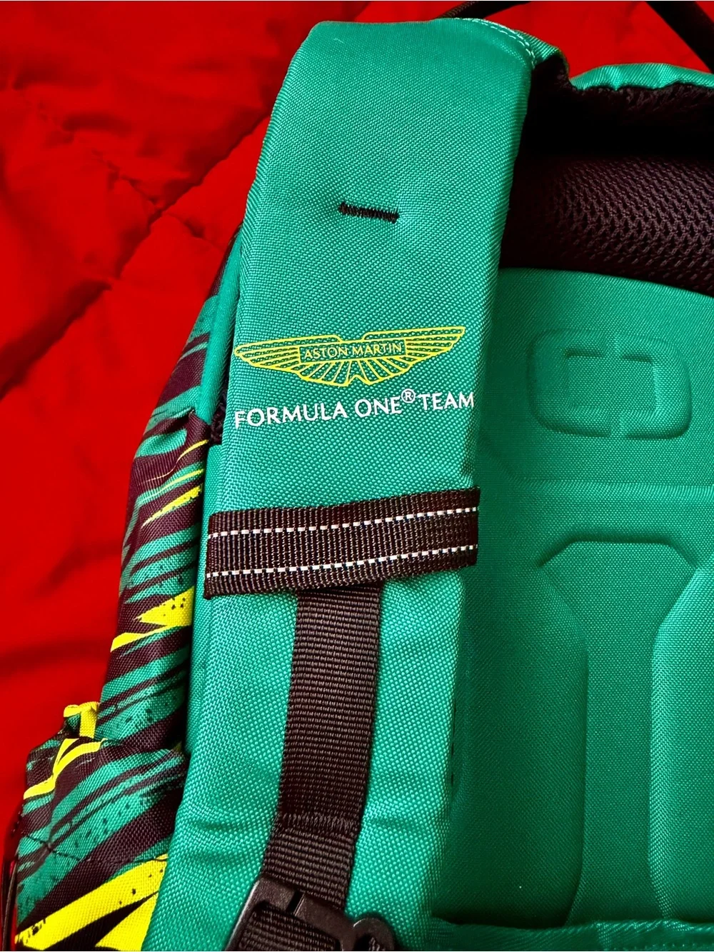 Green Backpack for Men